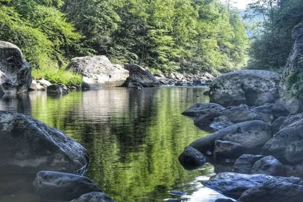 Campground Jamaica State Park - Camping Jamaica în Vermont