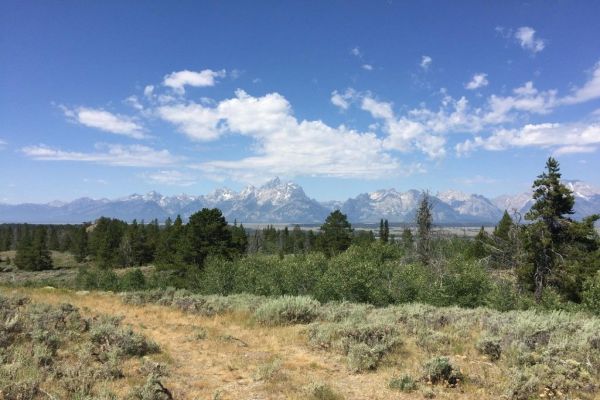 Curtis Canyon Camping - Jackson Camping în Wyoming