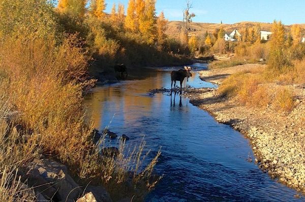 Parcul de stat Bear River - Camping Evanston din Wyoming