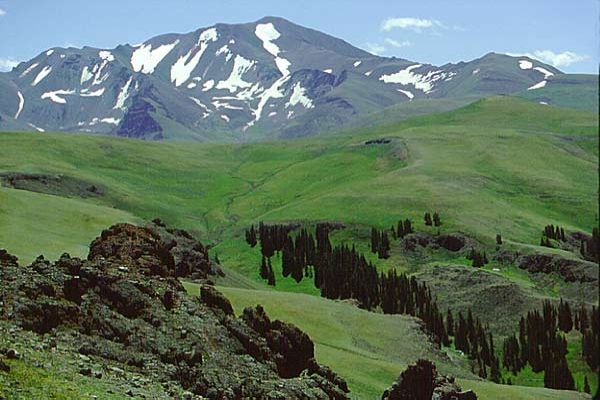 Pădurea Națională Shoshone - Camping Buffalo Creek din Wyoming