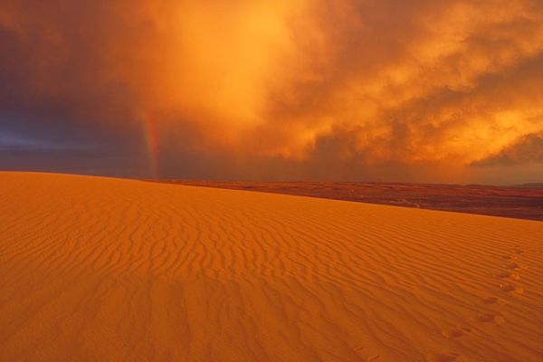 Red Desert BLM - Camping Killpecker Sand Dunes din Wyoming