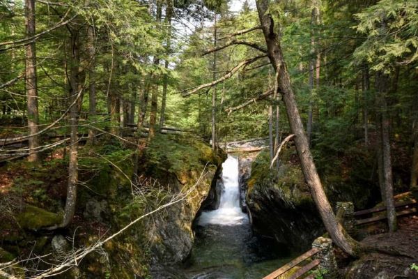 Pădurea Națională a Muntelui Verde - Camping Rutland din Vermont