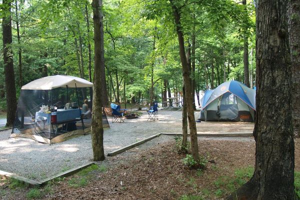 Parcul Național Great Smoky Mountains - Camping Cataloochee North Carolina