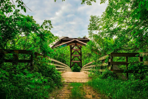 Pădurea de stat Chengwatana - Camping Pine City din Minnesota